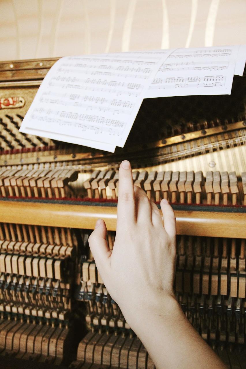 Symphony orchestra performing in elegant concert hall